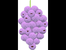 https://image.noelshack.com/fichiers/2024/14/3/1712166846-member-berries.png