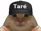 https://image.noelshack.com/fichiers/2024/14/5/1712320444-1660323083-chat-tare.jpg