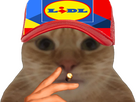 https://image.noelshack.com/fichiers/2024/14/7/1712495165-full.png