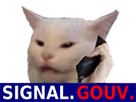 https://image.noelshack.com/fichiers/2024/15/1/1712585090-full-1-8.png