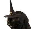 https://image.noelshack.com/fichiers/2024/15/5/1712933722-chatsorcierehalloweenboooooou.png