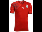 https://www.noelshack.com/2024-15-7-1713124402-egypt-puma-kit-3.jpg