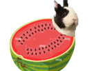 https://image.noelshack.com/fichiers/2024/16/1/1713199675-past-qe-lapinou.png