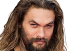 https://image.noelshack.com/fichiers/2024/16/3/1713305649-b-jason-momoa-4.png