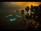 https://www.noelshack.com/2024-16-3-1713354370-des-nageurs-en-tha-lande-entour-s-de-nuages-de-phytoplancton-bioluminescent-850x567.jpeg