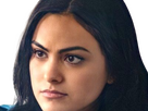 https://image.noelshack.com/fichiers/2024/16/4/1713393733-bp-camila-mendes-10.png