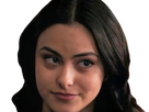 https://image.noelshack.com/fichiers/2024/16/4/1713393733-bp-camila-mendes-12.png