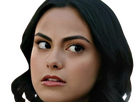 https://image.noelshack.com/fichiers/2024/16/4/1713396200-bp-camila-mendes-20.png