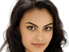 https://image.noelshack.com/fichiers/2024/16/4/1713396216-bp-camila-mendes-21.png