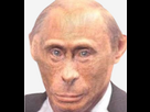 https://image.noelshack.com/fichiers/2024/16/6/1713639092-poutinemonkey.png