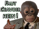 https://image.noelshack.com/fichiers/2024/17/1/1713788568-full.png