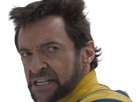 https://image.noelshack.com/fichiers/2024/17/1/1713798208-wolverine-3.png