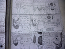 https://image.noelshack.com/minis/2024/17/1/1713801515-p1080265.png