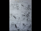 https://image.noelshack.com/minis/2024/17/3/1713973430-p1080283.png