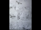 https://image.noelshack.com/minis/2024/17/3/1713974229-p1080295.png