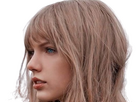 https://image.noelshack.com/fichiers/2024/17/5/1714091089-m-taylor-swift-20.png