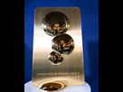 https://image.noelshack.com/fichiers/2024/18/1/1714423574-20-07-trophee-l2-2.jpg