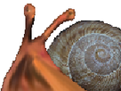 https://image.noelshack.com/fichiers/2024/18/2/1714491341-1649241173-risiescargot.png