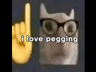 https://image.noelshack.com/fichiers/2024/18/3/1714581726-pegging.png