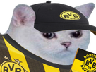 https://image.noelshack.com/fichiers/2024/18/3/1714593218-1714590735-chat-dortmund.png