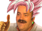 https://www.noelshack.com/2024-18-7-1714866548-1590722712-pour-zamasu.png