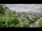 https://image.noelshack.com/fichiers/2024/19/1/1714977296-le-parc-naturel-d-el-yunque.jpg