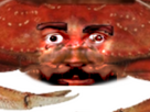 https://image.noelshack.com/fichiers/2024/19/1/1714977760-crabhooperzoom.png