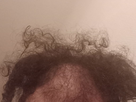 https://image.noelshack.com/minis/2024/19/3/1715124567-default-13.png