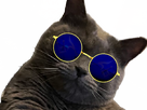 https://image.noelshack.com/fichiers/2024/19/6/1715457758-fullcatglasses2.png