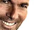 https://image.noelshack.com/fichiers/2024/20/1/1715630388-1672399291-zidane.png