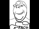 https://image.noelshack.com/minis/2024/20/4/1715816675-fact.png