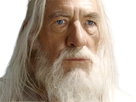 https://image.noelshack.com/fichiers/2024/21/1/1716157619-1592847989-gandalf-9.png