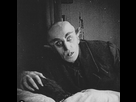https://image.noelshack.com/minis/2024/21/1/1716179984-nosferatu.png