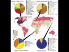 https://image.noelshack.com/fichiers/2024/21/1/1716228870-consommation-mondiale-de-sucre-et-comparaison-des-differents-types-de-regimes.png