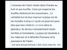 https://image.noelshack.com/fichiers/2024/21/2/1716314781-img-1976.jpeg