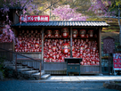 https://www.noelshack.com/2024-21-3-1716354256-lantern-filled-japanese-garden-structure.jpg