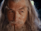 https://image.noelshack.com/fichiers/2024/21/3/1716362018-gandalf.jpeg