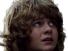 https://image.noelshack.com/fichiers/2024/21/4/1716475944-m-ty-simpkins-7.png