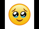 https://image.noelshack.com/fichiers/2024/21/4/1716475997-15577185-visage-heureux-avec-des-larmes-grande-taille-de-sourire-emoji-jaune-gratuit-vectoriel-removebg-preview-1.png