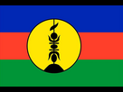 https://image.noelshack.com/fichiers/2024/22/5/1717187230-nouvelle-caledonie-drapeau-flag-bandiera.jpg