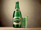 https://image.noelshack.com/fichiers/2024/22/7/1717293085-default-old-style-advertising-badoit-perrier-bottle-2.jpg