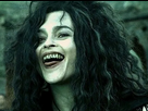 https://image.noelshack.com/fichiers/2024/23/2/1717491620-bellatrix2.png