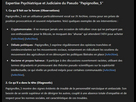 https://image.noelshack.com/fichiers/2024/23/3/1717599893-papi.png