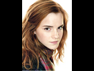 https://image.noelshack.com/fichiers/2024/23/7/1717935888-hermione.png