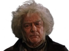 https://image.noelshack.com/fichiers/2024/24/1/1718050206-ollivander.png