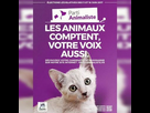 https://image.noelshack.com/minis/2024/24/1/1718055608-legislatives-2017-un-chat-sur-l-affiche-mais-qui-se-cache-derriere-le-parti-animaliste-20170608-1543-3c6953-0-1x.png