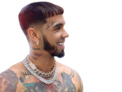 https://image.noelshack.com/fichiers/2024/24/4/1718260713-anue-mmhh-brrrr-pero-esta-ve-a-mi-me-toco-perder-brr-papi-que-ricooo.jpeg