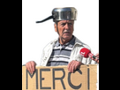 https://image.noelshack.com/fichiers/2024/24/4/1718293348-merci.png