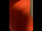 https://image.noelshack.com/fichiers/2024/24/6/1718446110-daaf1212-de1b-437a-9870-9062cb2cfe61.jpeg