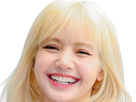 https://image.noelshack.com/fichiers/2024/25/2/1718728245-lisa-blackpink-blonde-2.png